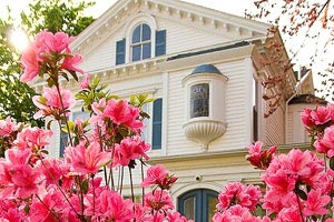 土耳其队连胜在手，半决赛确定