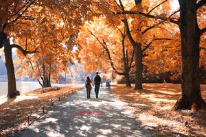 风云再起！欧洲足坛是否会有逆袭